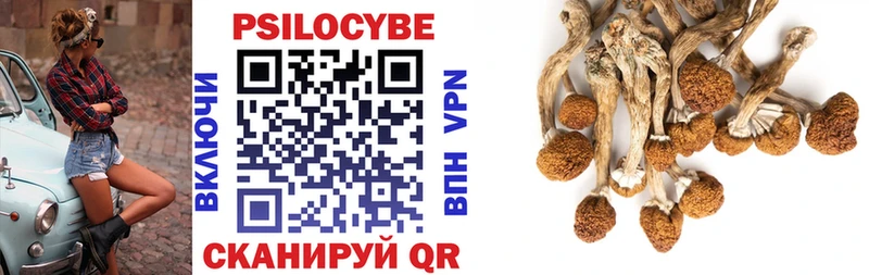 мега вход Красный Холм Псилоцибиновые грибы Cubensis